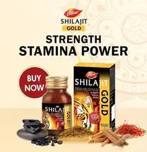 SHILAJIT GOLD CAPSULES 10'S